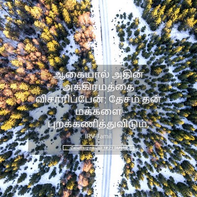 Picture 05 - லேவியராகமம் 18:25 TAMIRV - ஆகையால் அதின் - Bible Verse Picture