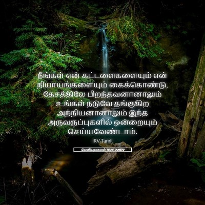 Picture 05 - லேவியராகமம் 18:28 TAMIRV - நீங்கள் என் - Bible Verse Picture