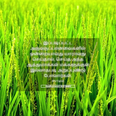 Picture 05 - லேவியராகமம் 18:29 TAMIRV - இப்படிப்பட்ட - Bible Verse Picture
