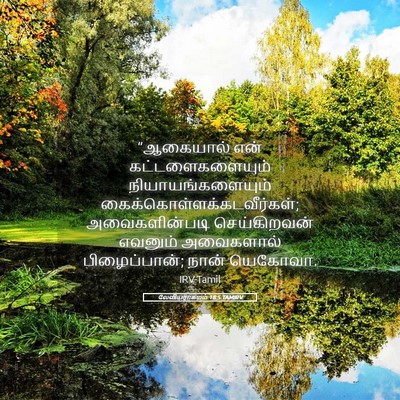 Picture 05 - லேவியராகமம் 18:5 TAMIRV - “ஆகையால் என் - Bible Verse Picture