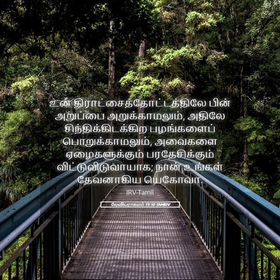 Picture 05 - லேவியராகமம் 19:10 TAMIRV - உன் - Bible Verse Picture