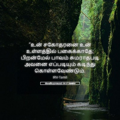 Picture 05 - லேவியராகமம் 19:17 TAMIRV - “உன் சகோதரனை உன் - Bible Verse Picture