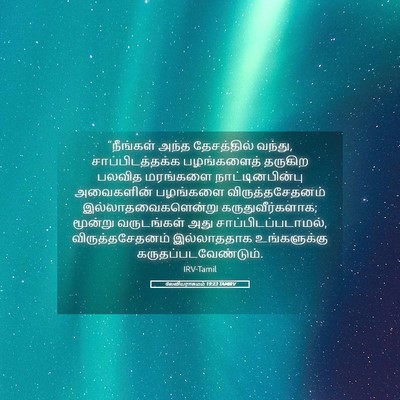 Picture 05 - லேவியராகமம் 19:23 TAMIRV - “நீங்கள் அந்த - Bible Verse Picture