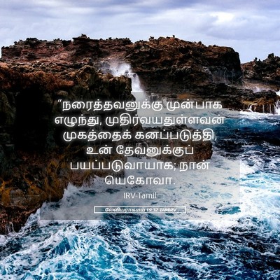 Picture 05 - லேவியராகமம் 19:32 TAMIRV - “நரைத்தவனுக்கு - Bible Verse Picture