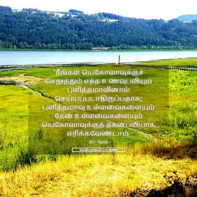 Picture 05 - லேவியராகமம் 2:11 TAMIRV - “நீங்கள் - Bible Verse Picture