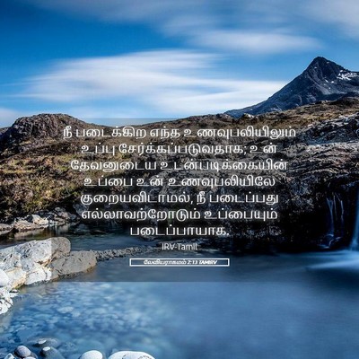 Picture 05 - லேவியராகமம் 2:13 TAMIRV - நீ படைக்கிற எந்த - Bible Verse Picture