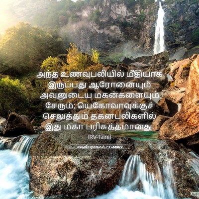 Picture 05 - லேவியராகமம் 2:3 TAMIRV - அந்த உணவுபலியில் - Bible Verse Picture