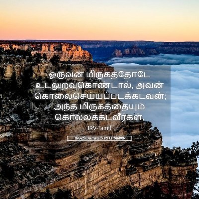 Picture 05 - லேவியராகமம் 20:15 TAMIRV - ஒருவன் - Bible Verse Picture