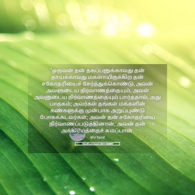 Picture 05 - லேவியராகமம் 20:17 TAMIRV - “ஒருவன் தன் - Bible Verse Picture