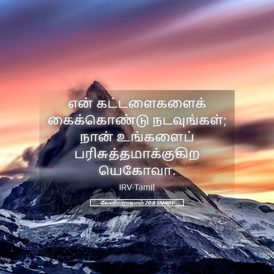 Picture 05 - லேவியராகமம் 20:8 TAMIRV - என் கட்டளைகளைக் - Bible Verse Picture