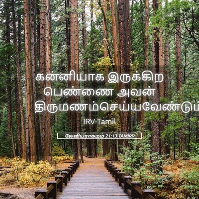 Picture 05 - லேவியராகமம் 21:13 TAMIRV - கன்னியாக இருக்கிற - Bible Verse Picture
