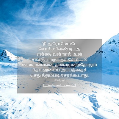 Picture 05 - லேவியராகமம் 21:17 TAMIRV - “நீ ஆரோனோடே - Bible Verse Picture