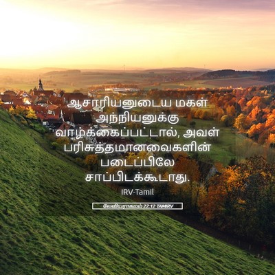 Picture 05 - லேவியராகமம் 22:12 TAMIRV - ஆசாரியனுடைய மகள் - Bible Verse Picture