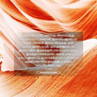Picture 05 - லேவியராகமம் 22:13 TAMIRV - விதவையான, அல்லது - Bible Verse Picture