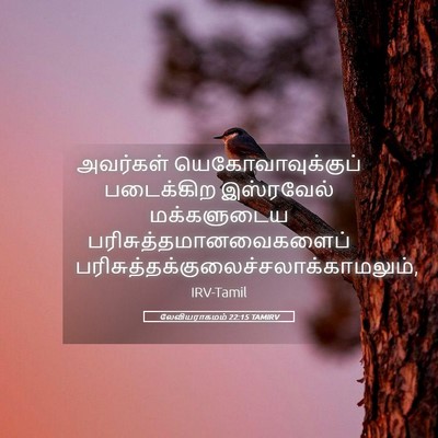 Picture 05 - லேவியராகமம் 22:15 TAMIRV - அவர்கள் - Bible Verse Picture