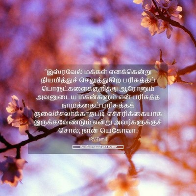 Picture 05 - லேவியராகமம் 22:2 TAMIRV - “இஸ்ரவேல் மக்கள் - Bible Verse Picture