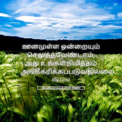 Picture 05 - லேவியராகமம் 22:20 TAMIRV - ஊனமுள்ள ஒன்றையும் - Bible Verse Picture