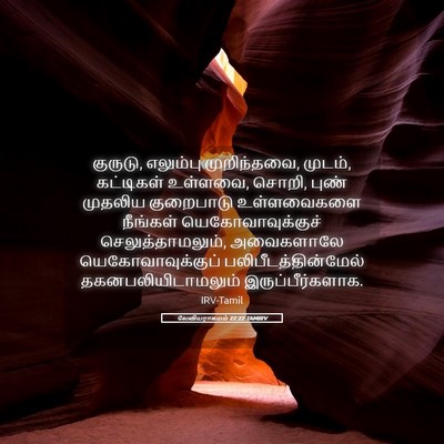 Picture 05 - லேவியராகமம் 22:22 TAMIRV - குருடு, எலும்பு - Bible Verse Picture