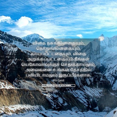 Picture 05 - லேவியராகமம் 22:24 TAMIRV - விதை - Bible Verse Picture