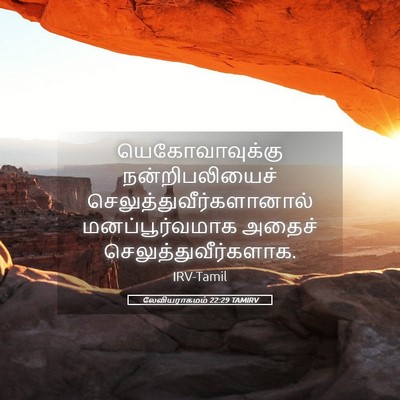Picture 05 - லேவியராகமம் 22:29 TAMIRV - யெகோவாவுக்கு - Bible Verse Picture