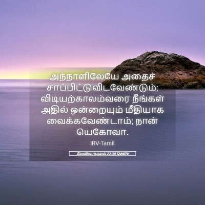 Picture 05 - லேவியராகமம் 22:30 TAMIRV - அந்நாளிலேயே அதைச் - Bible Verse Picture