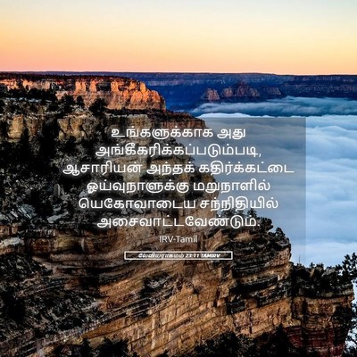 Picture 05 - லேவியராகமம் 23:11 TAMIRV - உங்களுக்காக அது - Bible Verse Picture