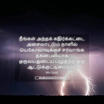 Picture 05 - லேவியராகமம் 23:12 TAMIRV - நீங்கள் அந்தக் - Bible Verse Picture