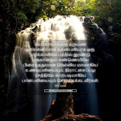 Picture 05 - லேவியராகமம் 23:13 TAMIRV - யெகோவாவுக்கு - Bible Verse Picture