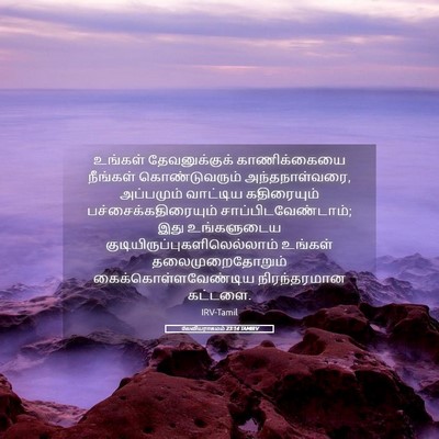Picture 05 - லேவியராகமம் 23:14 TAMIRV - உங்கள் - Bible Verse Picture