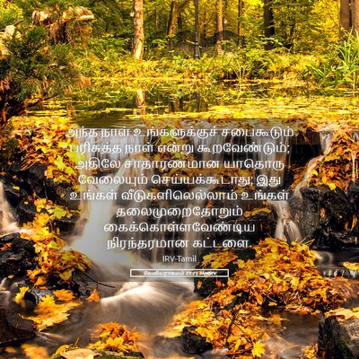 Picture 05 - லேவியராகமம் 23:21 TAMIRV - அந்த நாள் - Bible Verse Picture