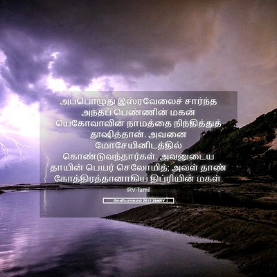 Picture 05 - லேவியராகமம் 24:11 TAMIRV - அப்பொழுது - Bible Verse Picture