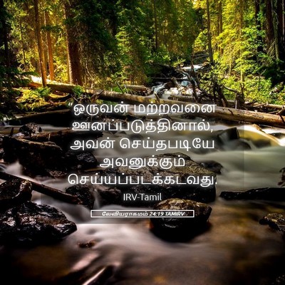 Picture 05 - லேவியராகமம் 24:19 TAMIRV - “ஒருவன் மற்றவனை - Bible Verse Picture