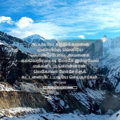 Picture 05 - லேவியராகமம் 24:23 TAMIRV - அப்படியே, - Bible Verse Picture