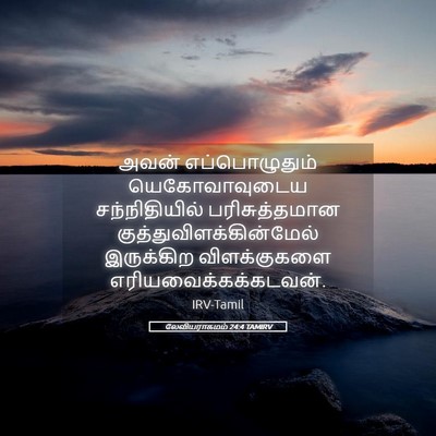 Picture 05 - லேவியராகமம் 24:4 TAMIRV - அவன் எப்பொழுதும் - Bible Verse Picture