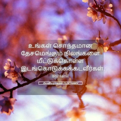 Picture 05 - லேவியராகமம் 25:24 TAMIRV - உங்கள் சொந்தமான - Bible Verse Picture