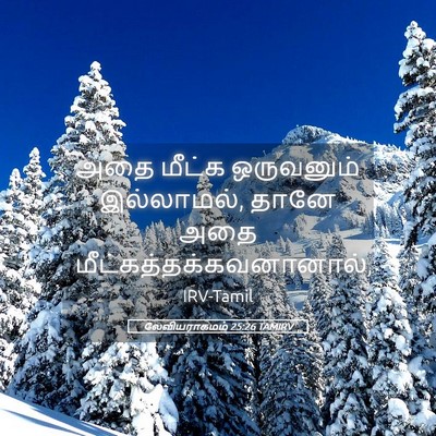 Picture 05 - லேவியராகமம் 25:26 TAMIRV - அதை மீட்க - Bible Verse Picture