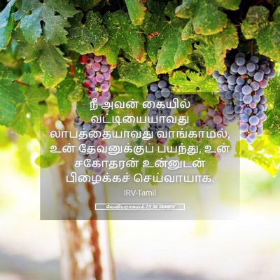 Picture 05 - லேவியராகமம் 25:36 TAMIRV - நீ அவன் கையில் - Bible Verse Picture