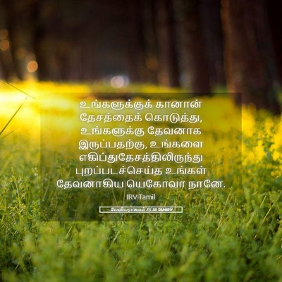 Picture 05 - லேவியராகமம் 25:38 TAMIRV - உங்களுக்குக் - Bible Verse Picture