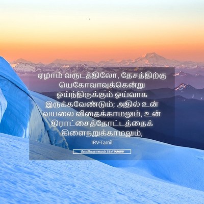 Picture 05 - லேவியராகமம் 25:4 TAMIRV - ஏழாம் வருடத்திலோ, - Bible Verse Picture
