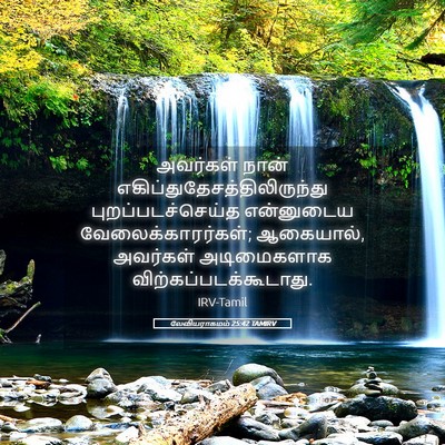 Picture 05 - லேவியராகமம் 25:42 TAMIRV - அவர்கள் நான் - Bible Verse Picture