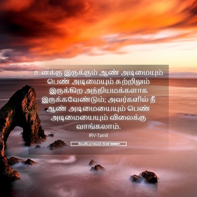 Picture 05 - லேவியராகமம் 25:44 TAMIRV - உனக்கு இருக்கும் - Bible Verse Picture