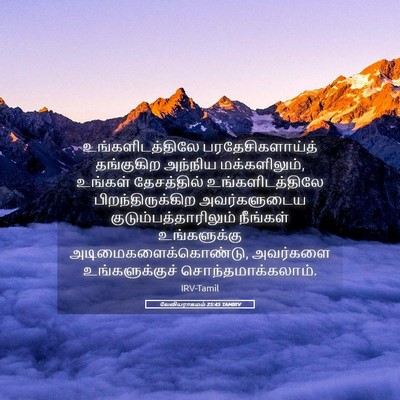 Picture 05 - லேவியராகமம் 25:45 TAMIRV - உங்களிடத்திலே - Bible Verse Picture