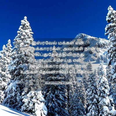 Picture 05 - லேவியராகமம் 25:55 TAMIRV - இஸ்ரவேல் மக்கள் - Bible Verse Picture