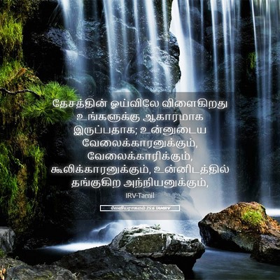 Picture 05 - லேவியராகமம் 25:6 TAMIRV - தேசத்தின் ஓய்விலே - Bible Verse Picture