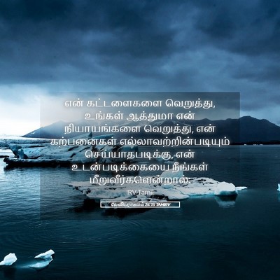 Picture 05 - லேவியராகமம் 26:15 TAMIRV - என் கட்டளைகளை - Bible Verse Picture