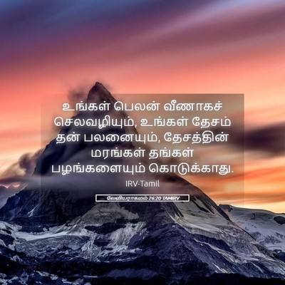 Picture 05 - லேவியராகமம் 26:20 TAMIRV - உங்கள் பெலன் - Bible Verse Picture