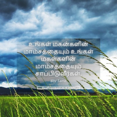 Picture 05 - லேவியராகமம் 26:29 TAMIRV - உங்கள் மகன்களின் - Bible Verse Picture