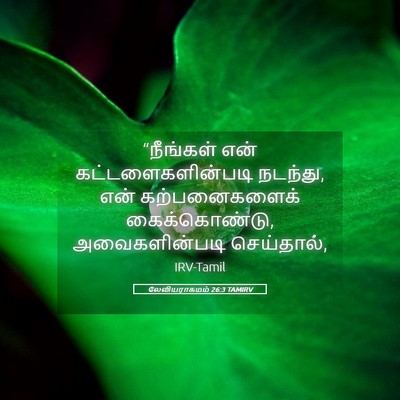 Picture 05 - லேவியராகமம் 26:3 TAMIRV - “நீங்கள் என் - Bible Verse Picture