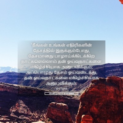 Picture 05 - லேவியராகமம் 26:34 TAMIRV - “நீங்கள் உங்கள் - Bible Verse Picture