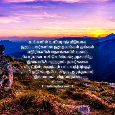 Picture 05 - லேவியராகமம் 26:36 TAMIRV - உங்களில் உயிரோடு - Bible Verse Picture